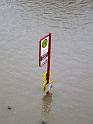 Hochwasser (11)